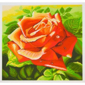 PA1216 Canvas with Figure  Red Rose