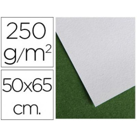 C200091123 Canson Sheet White 50 x 65cm 250g