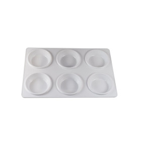 803005006 Plastic Palette 6-Well Tray