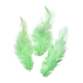 6621430 FEATHERS MAY.GREEN