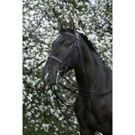 303006102 Riding World Weymouth Bridle Pony Size Black