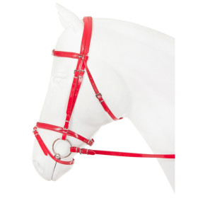 180092 Bridle Synthetic Flashy